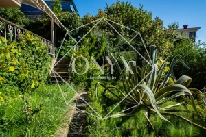 Изображение 16