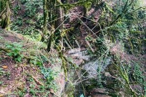 Изображение 15