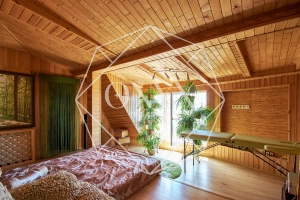 Изображение 12