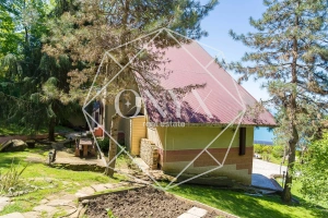 Изображение 12