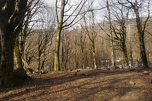 Участок в Красной Поляне под частную резиденц...