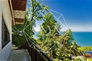 Изображение 13