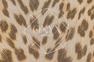 Изображение 31