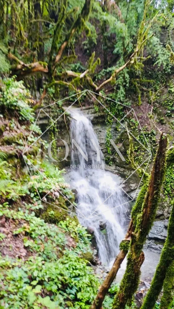 Изображение 25