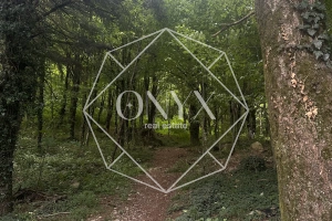 Изображение 16