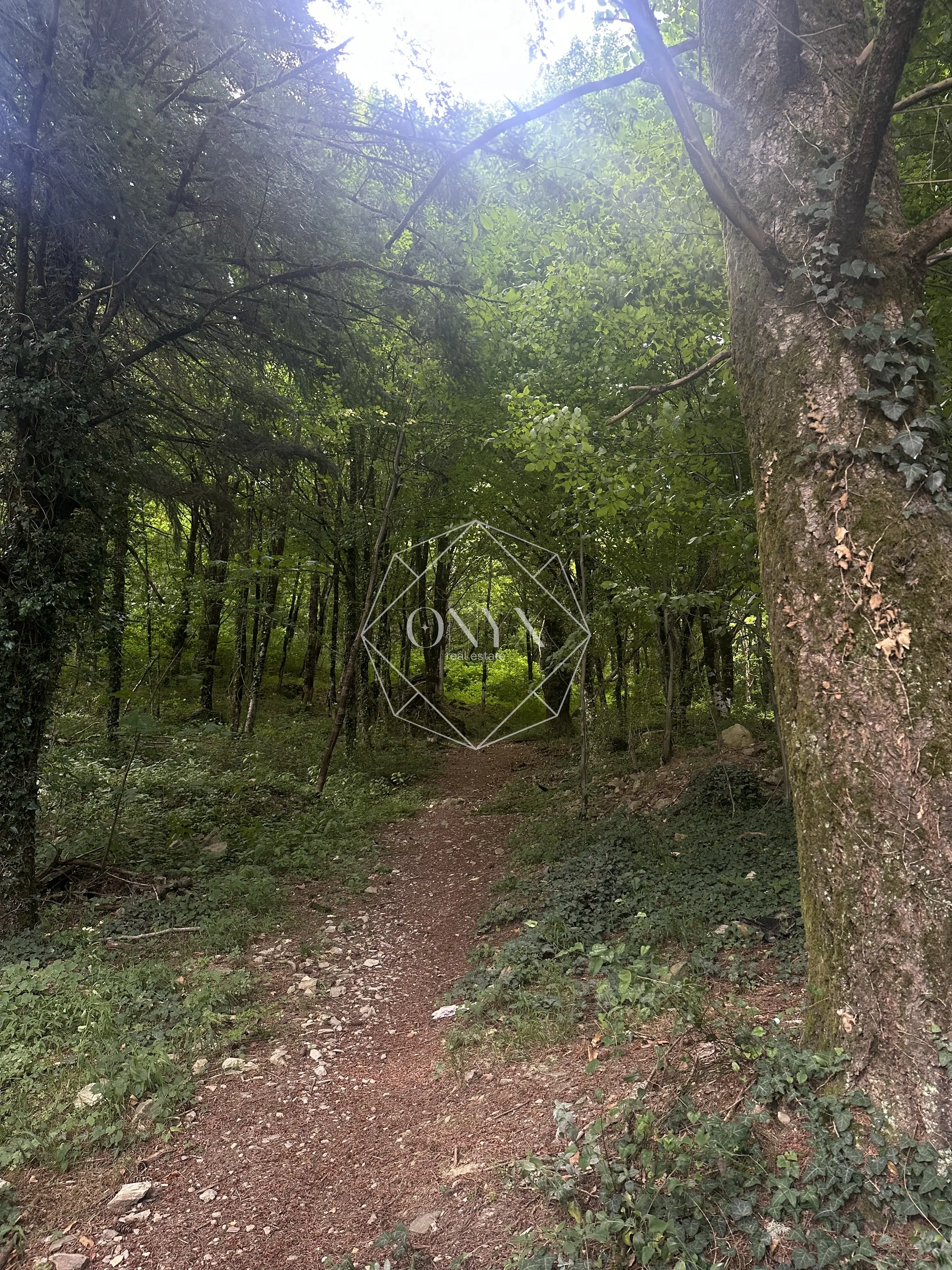 Изображение 16