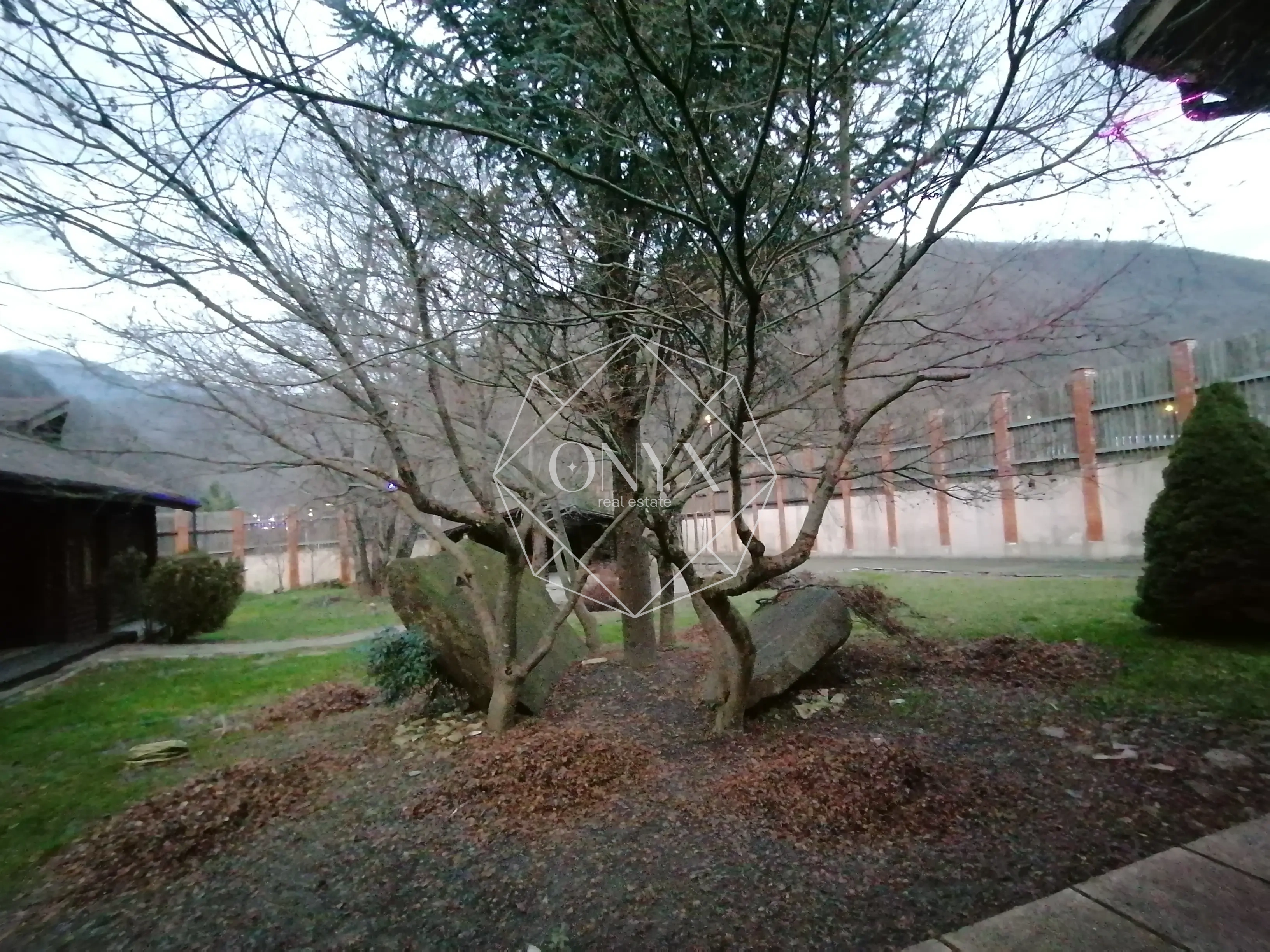 Изображение 11