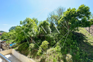 Изображение 14