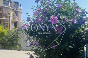 Изображение 9