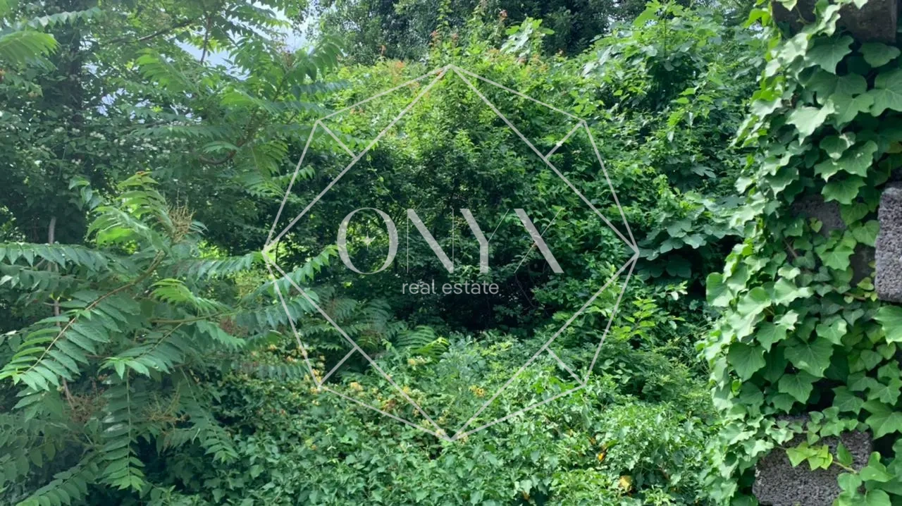 Изображение 10