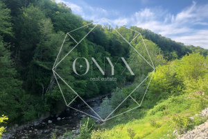 Изображение 10