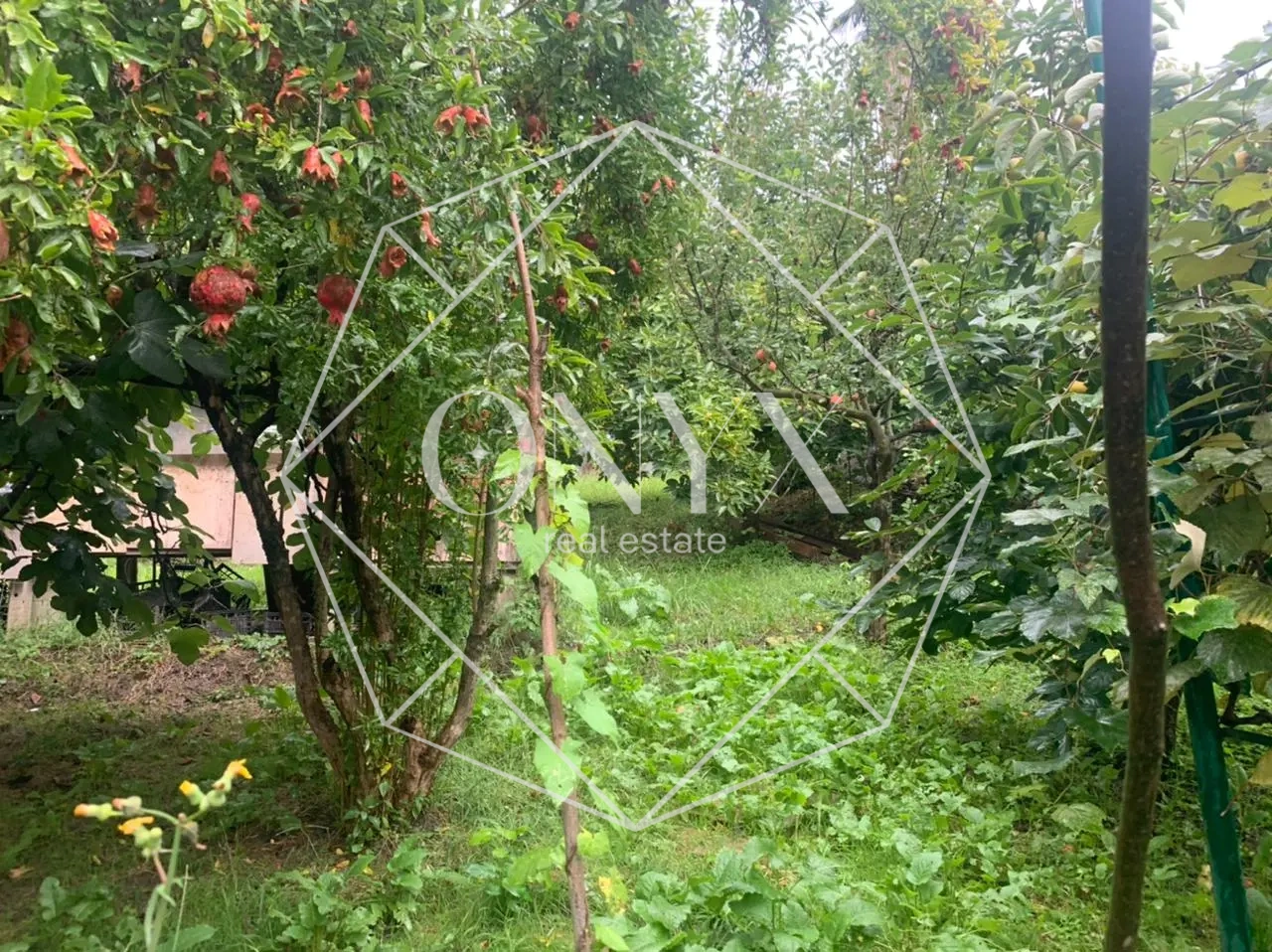 Изображение 19