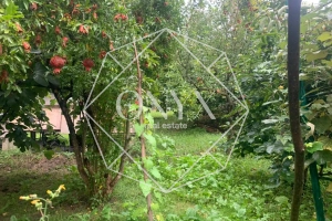 Изображение 19