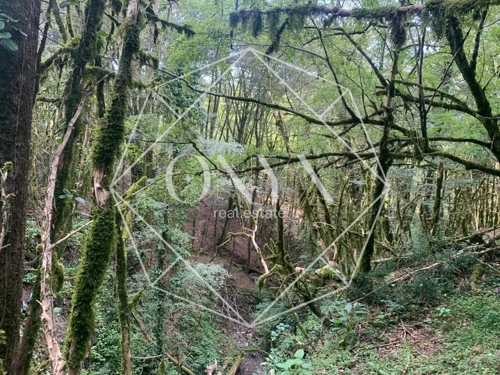 Изображение 16