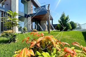 Изображение 9