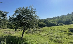 Участок с красивым видом на горы