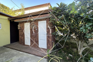 Изображение 12