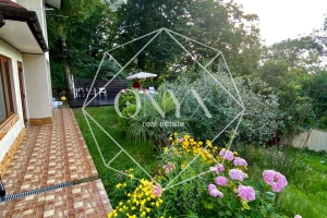 Изображение 12