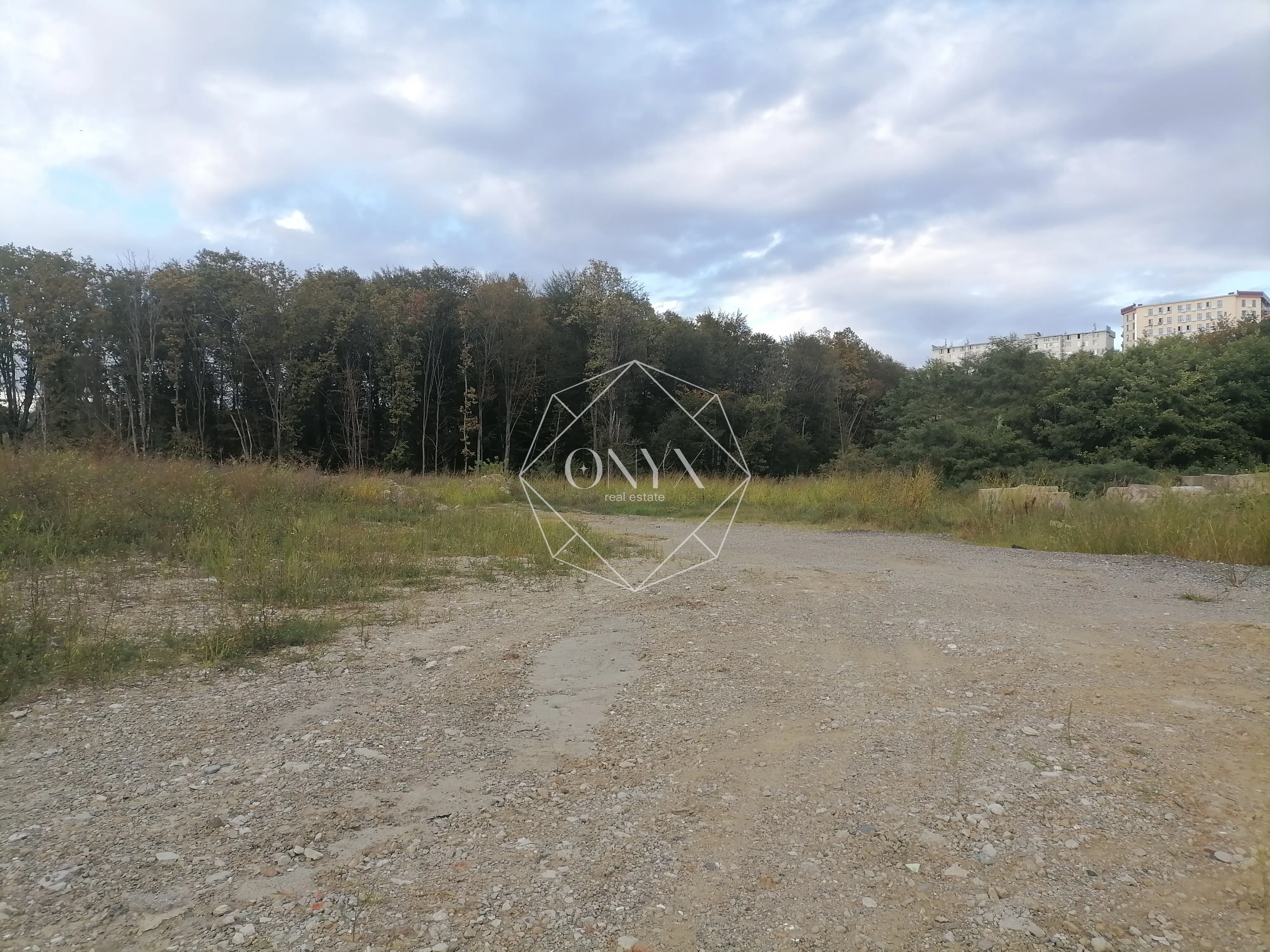 Изображение 14