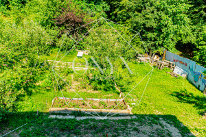 Изображение 17