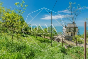 Изображение 8