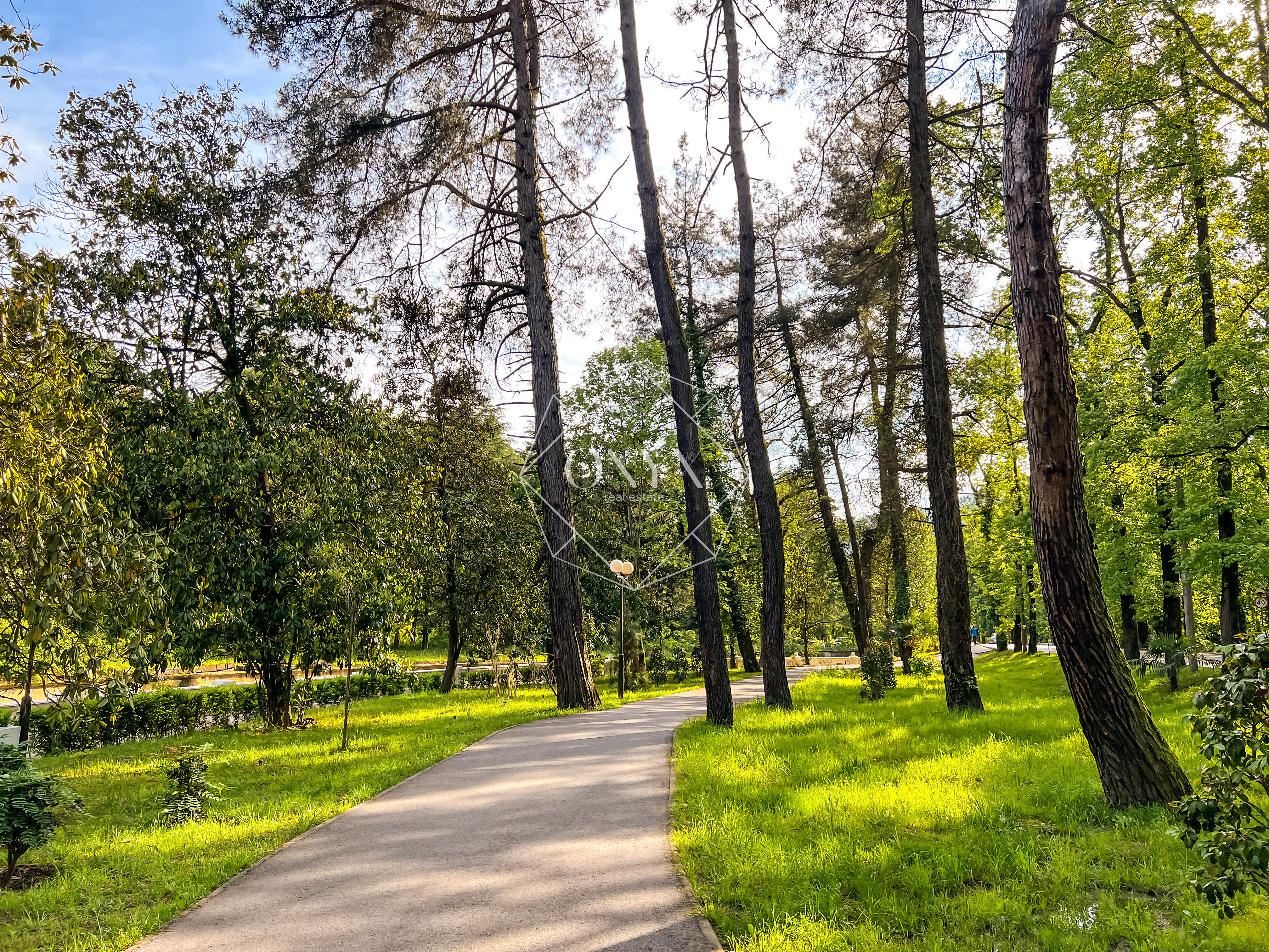 Изображение 12