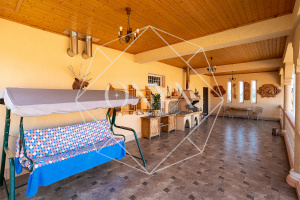 Изображение 18