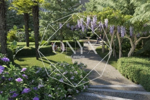 Изображение 24