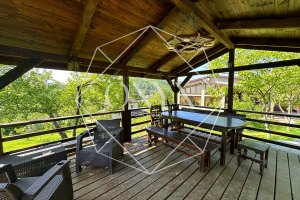 Изображение 21