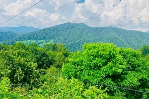 Харциз первый