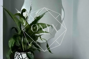 Изображение 14