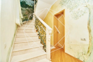 Изображение 11