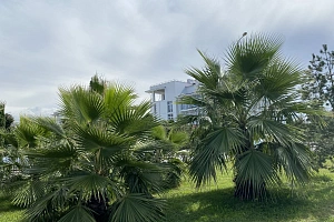 Продается ТРЦ