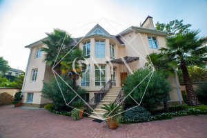 Изображение 24