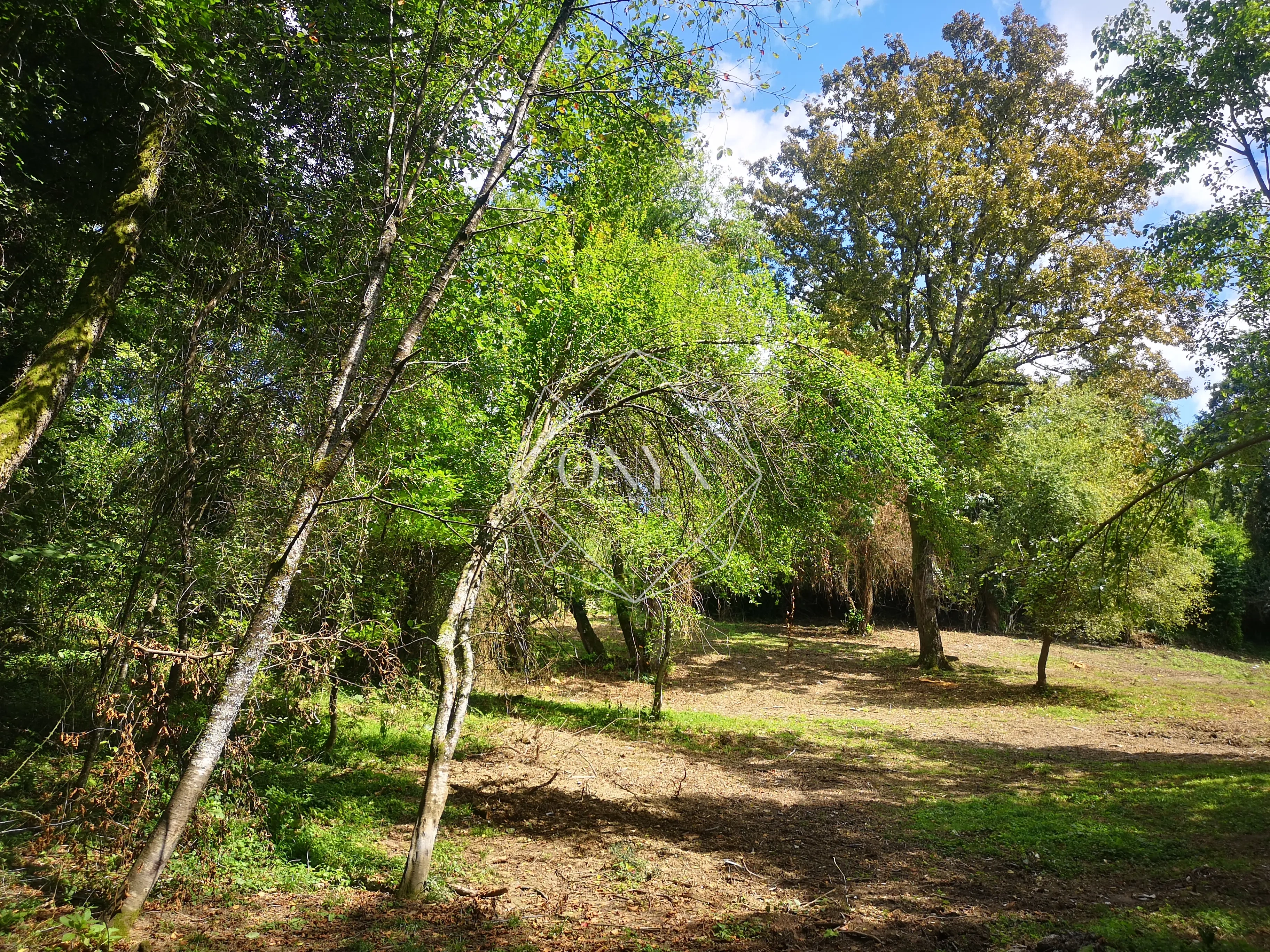 Изображение 19