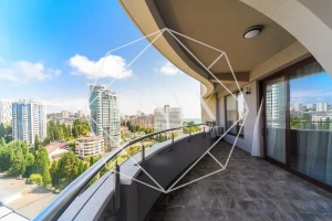 Изображение 12