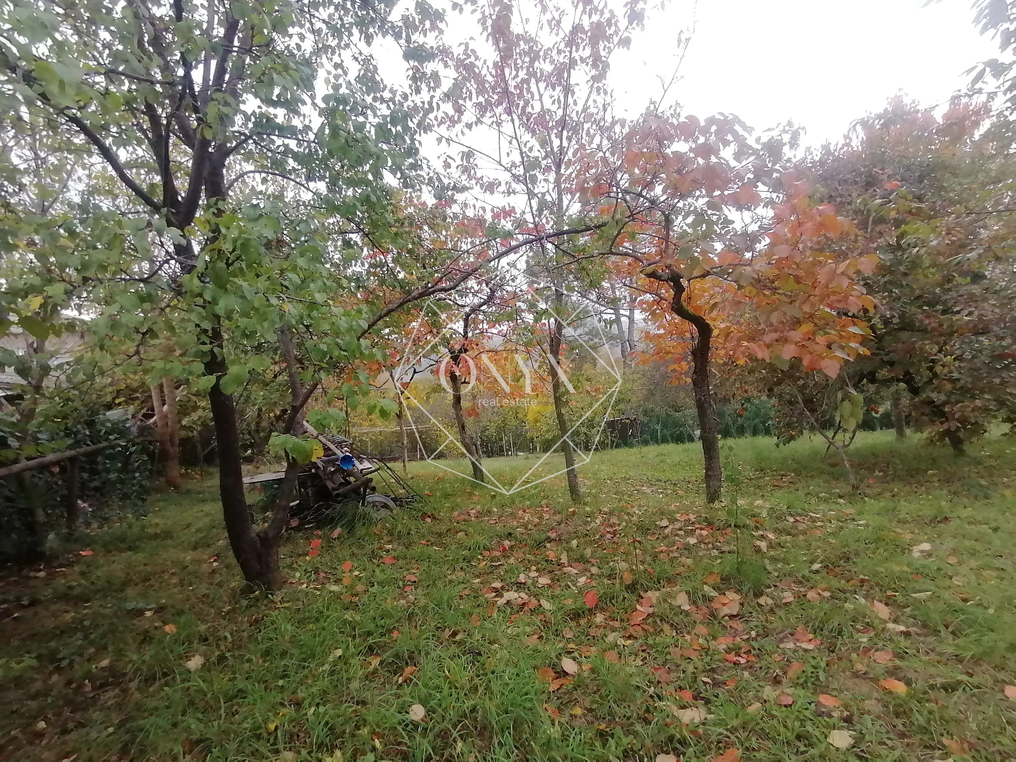 Изображение 10