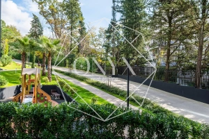 Изображение 11