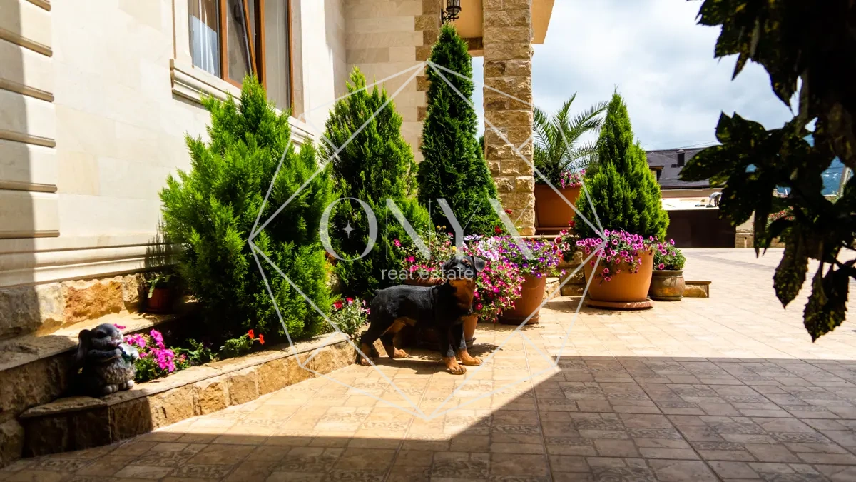 Изображение 44