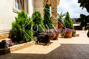 Изображение 44