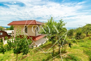 Изображение 10