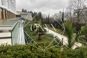 Изображение 13