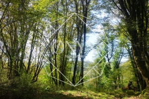 Изображение 16