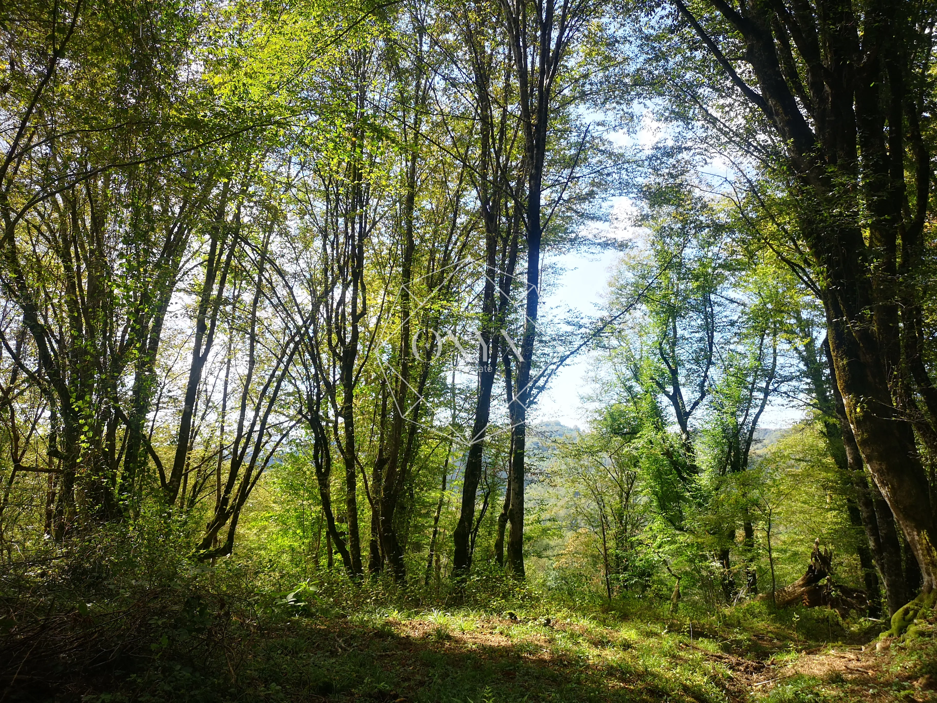 Изображение 16