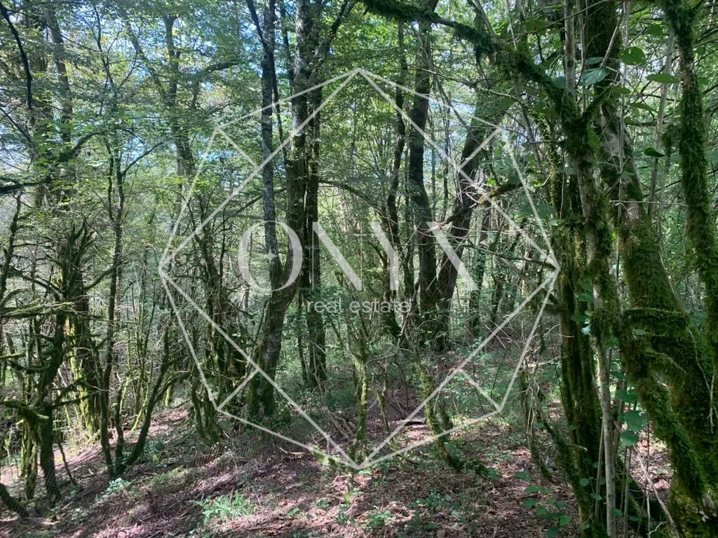 Изображение 19