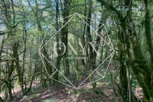 Изображение 19