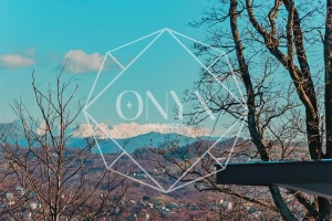 Изображение 13