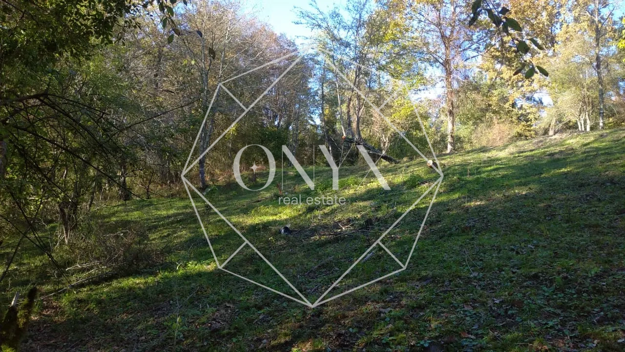 Изображение 13