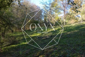 Изображение 13