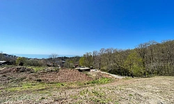 Прекрасный вид на море, до море 700 метров